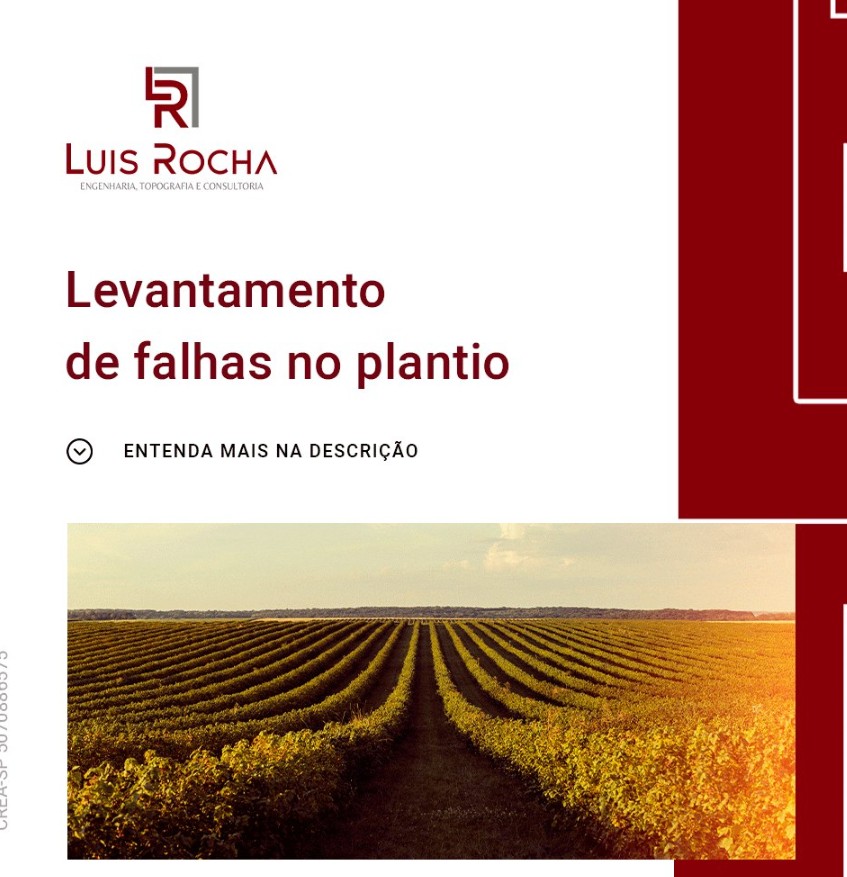 Levantamento de falhas no plantio agrícola